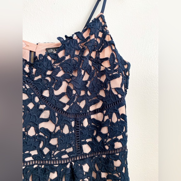 City Chic Floral Lace Dress Navy Blue Wedding Victorian Dark Romantic Plus Sz 16 - Picture 5 of 12